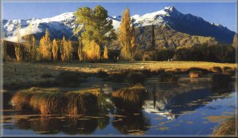 Autumn Reflections